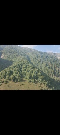 Gulmarg