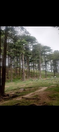 Gulmarg