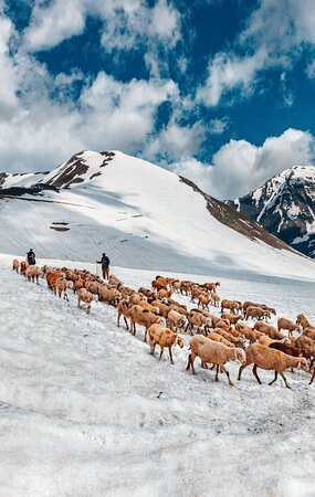 Sonamarg
