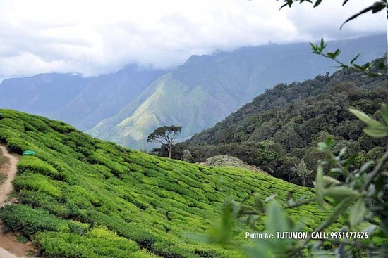 Munnar