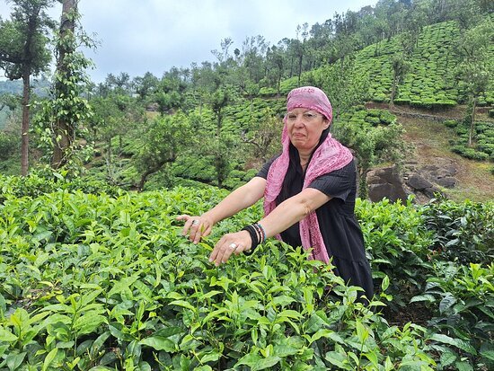 Thekkady