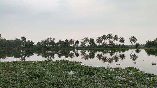 Alappuzha / Alleppey