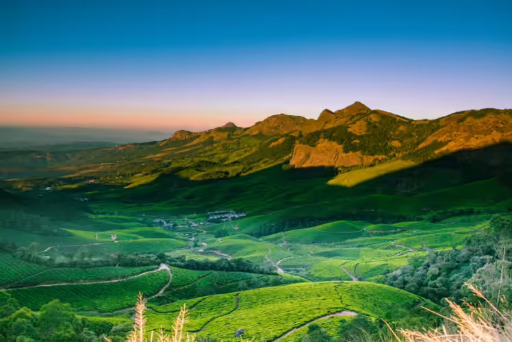 South-India holiday packages