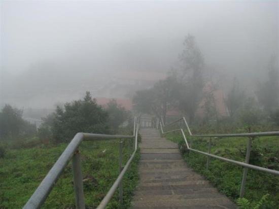 Coorg (Madikeri)