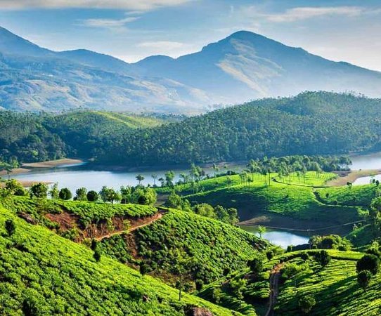 Ooty