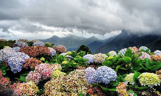 Kodaikanal