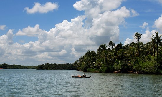Wayanad