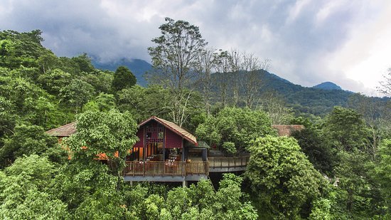 Wayanad
