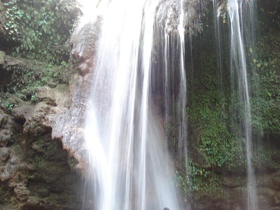 Jim Corbett National Park