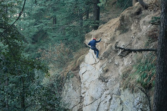 Shimla