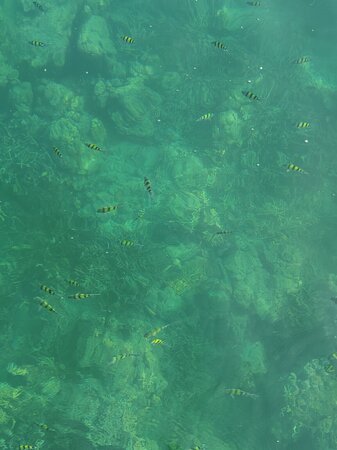Havelock Island