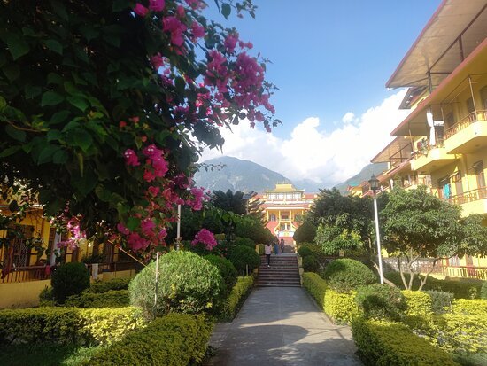 Gyuto Monastery