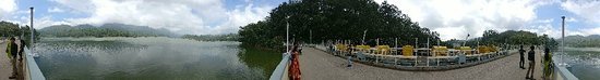 Mattupetty Dam