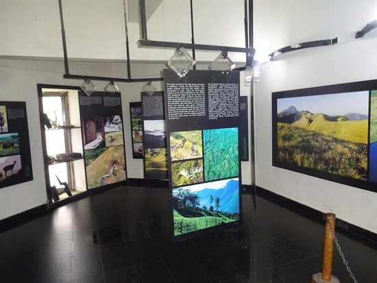 Rajamalai (Eravikulam) National Park