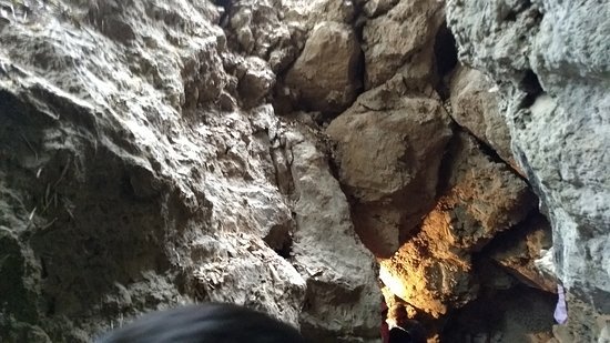 Eco Cave Gardens