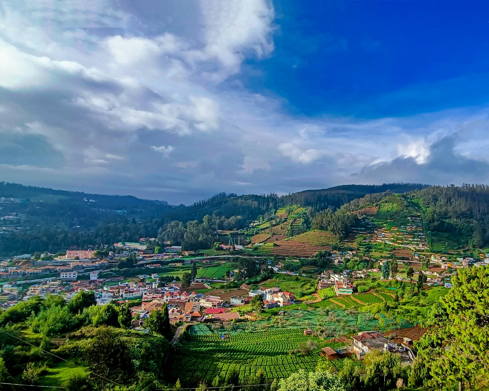 6-Day Mysore, Coorg & Ooty Deluxe to Super Luxury Escape