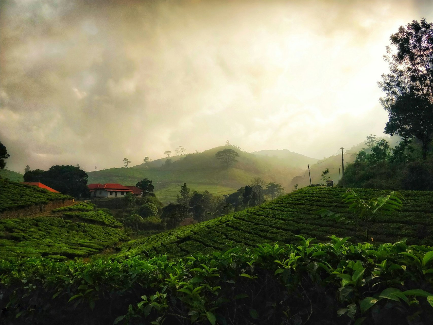 6-Day Kerala Cultural & Nature Escape
