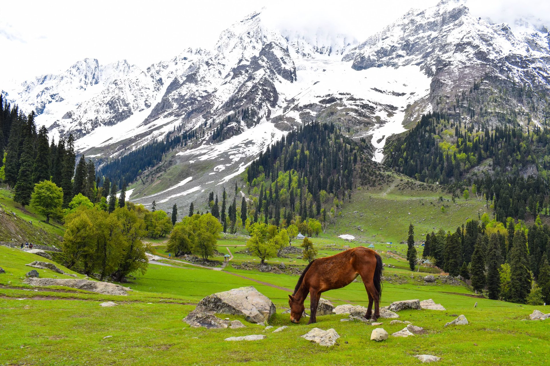 7-Day Scenic Kashmir Delight with Houseboat Experience