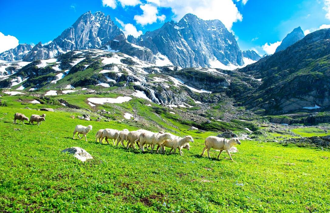 5-Day Scenic Kashmir Delight with Houseboat Experience