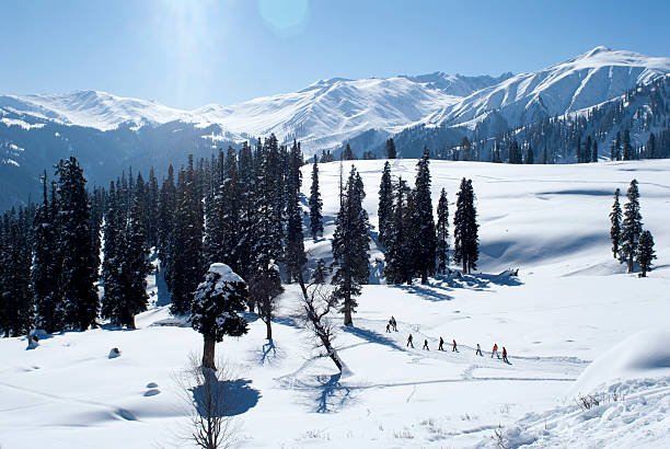 5-Day Kashmir Gardens, Meadows & Valleys Experience