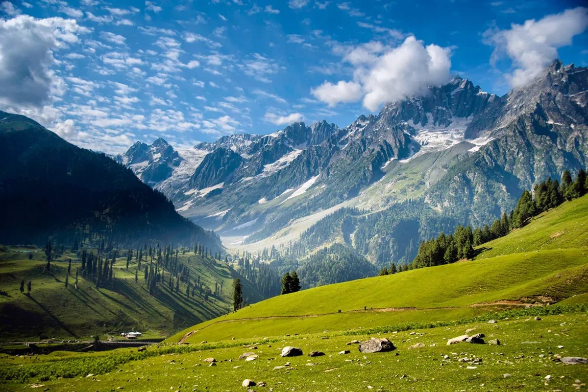 4-Day Kashmir Gardens & Valleys Experience