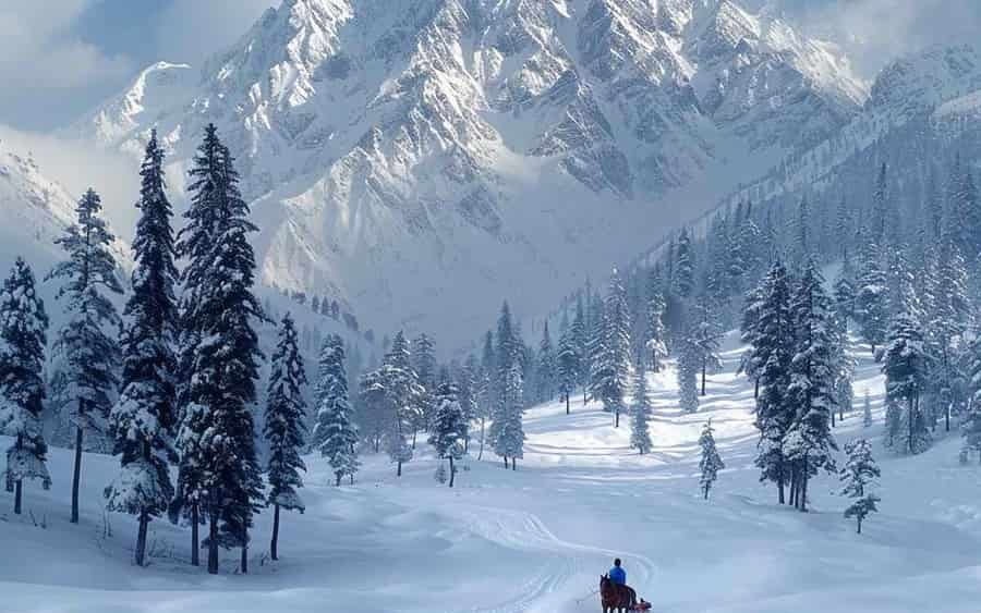 6-Day Kashmir Meadows & Lakes Adventure