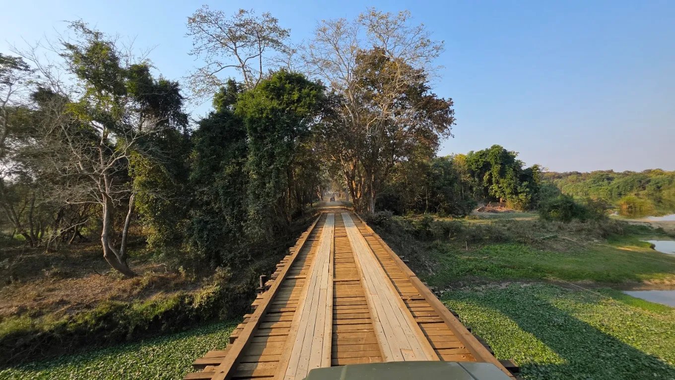 Kaziranga