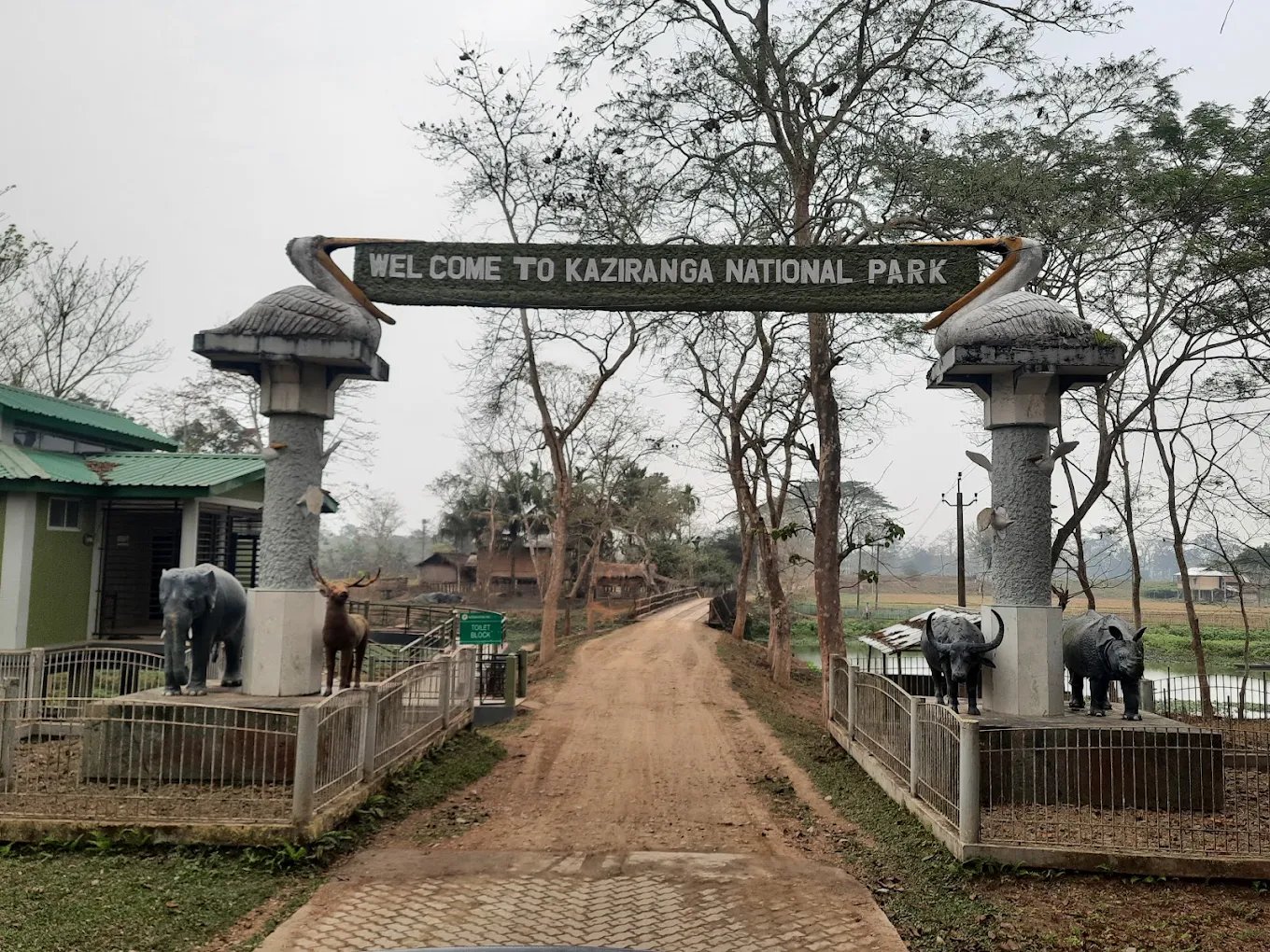 Kaziranga