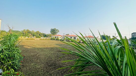 Sasan Gir