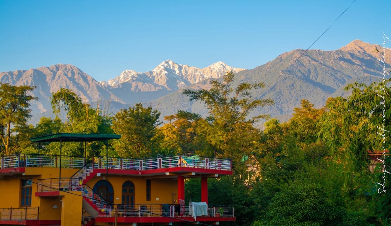 Palampur